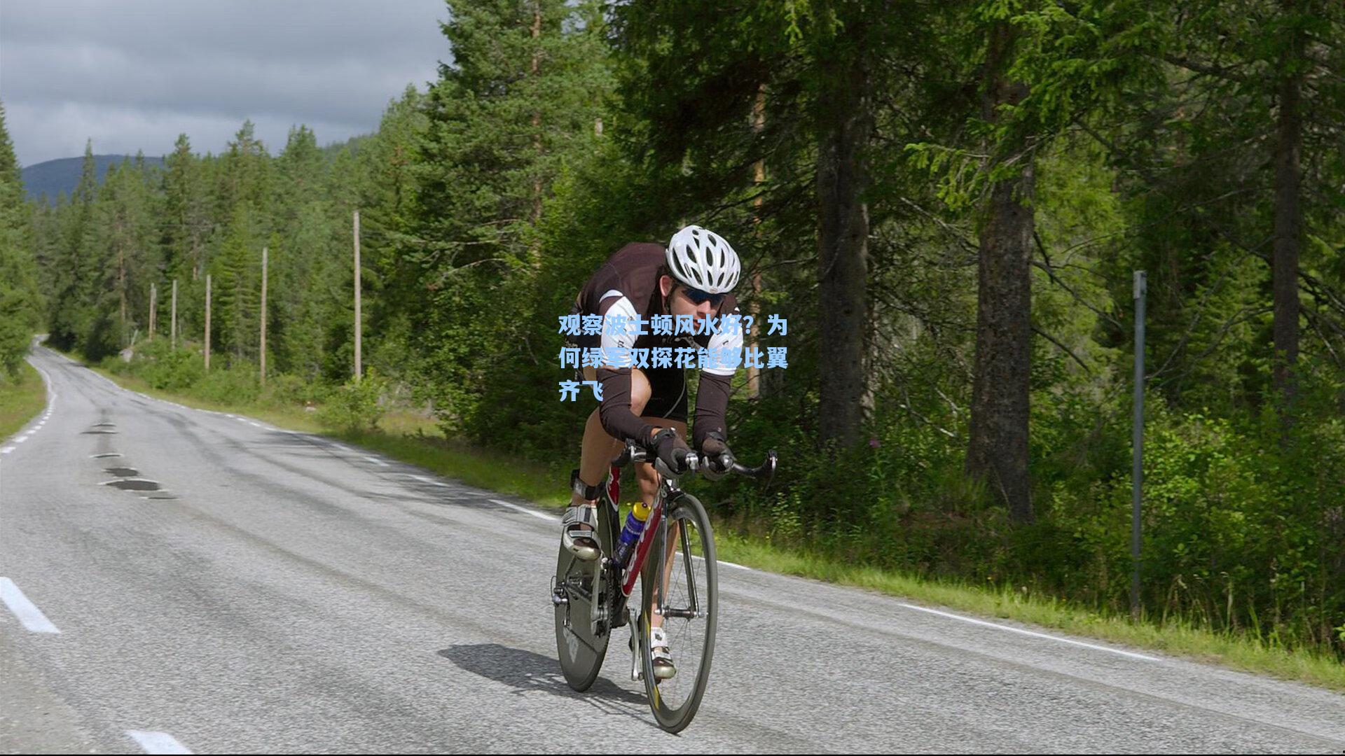 观察波士顿风水好？为何绿军双探花能够比翼齐飞