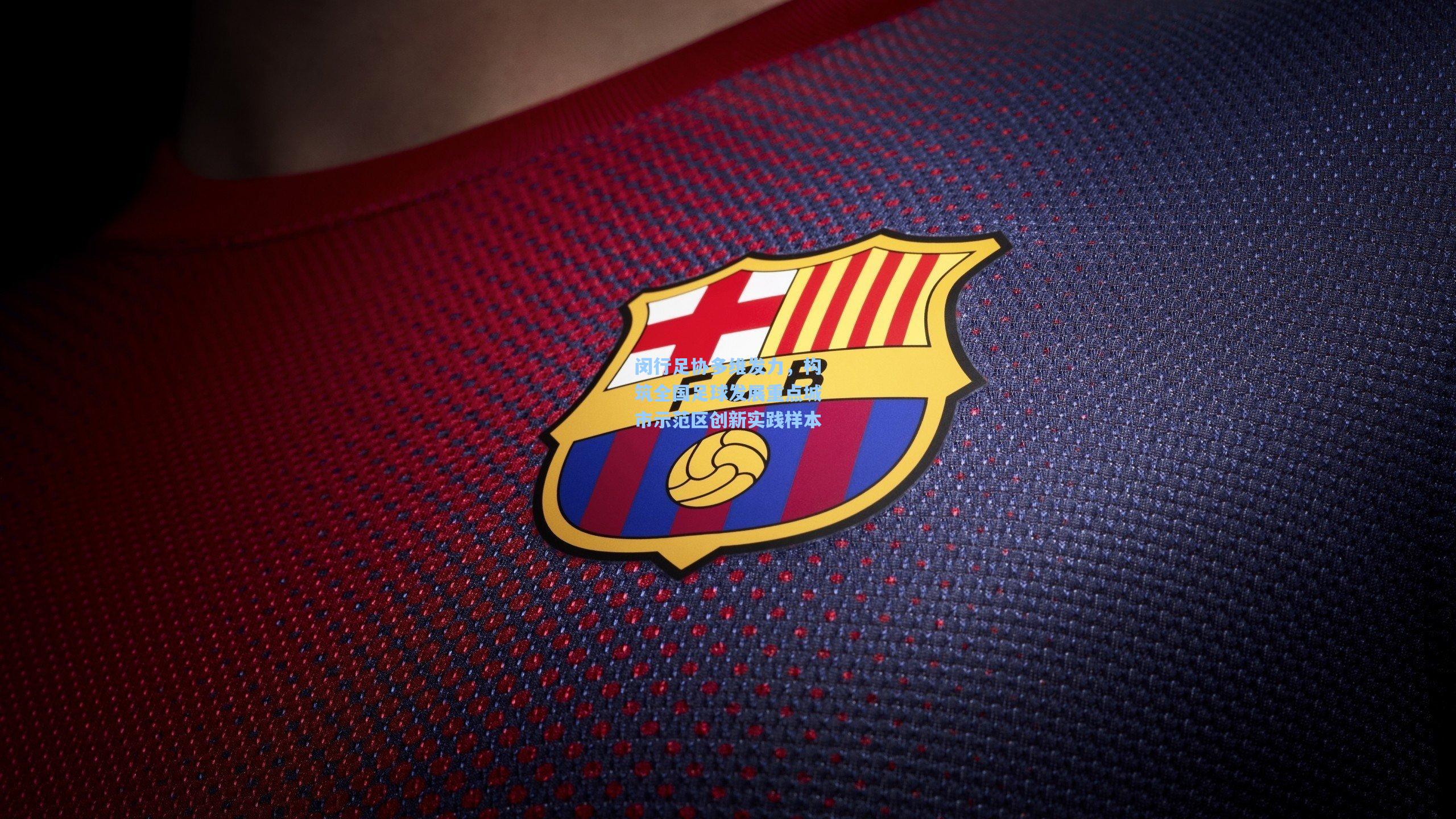 闵行足协多维发力，构筑全国足球发展重点城市示范区创新实践样本